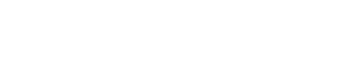 Electric Rides